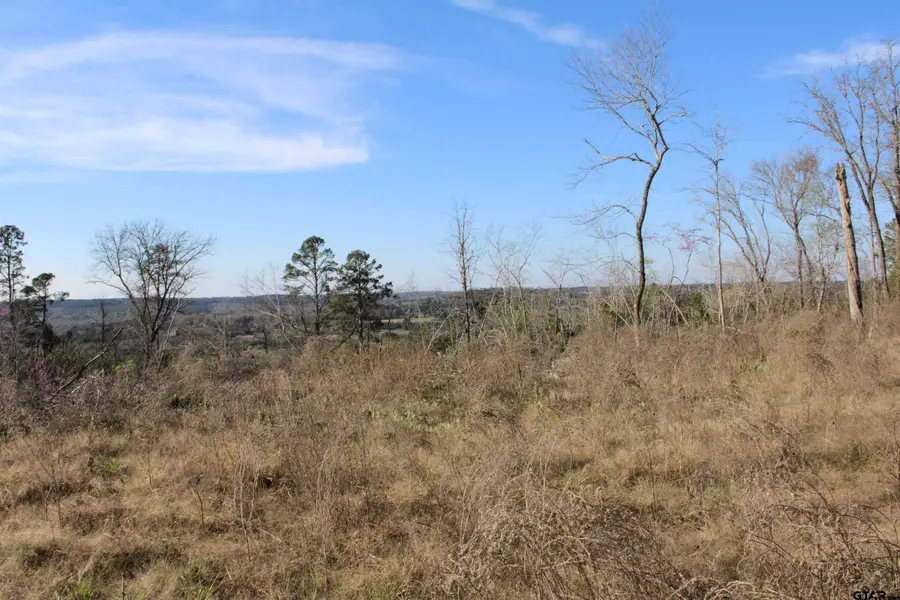 TBD CR 1627-34 acres, Rusk, TX 75785 - #3