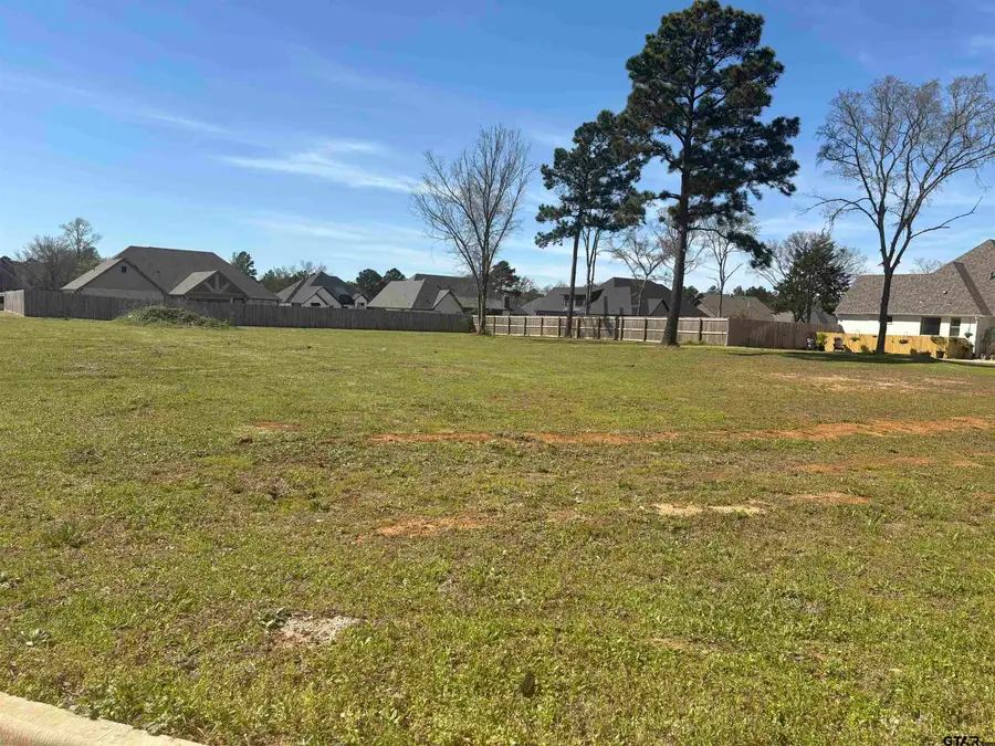 12105 Cotton St., Flint, TX 75762 - #2