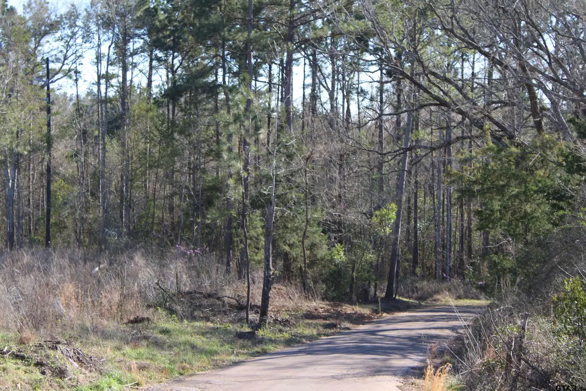 TBD CR 1627- 30 acres, Rusk, TX 75785 - #1