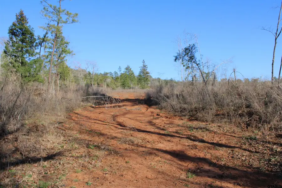 TBD CR 1627- 30 acres, Rusk, TX 75785 - #3