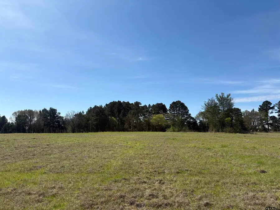 11358 C R 4128, Lindale, TX 75771 - #3