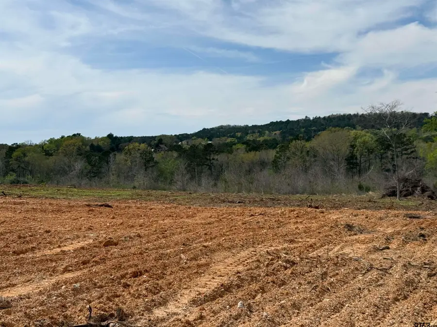 18610 FM 747 N, Jacksonville, TX 75766 - #3