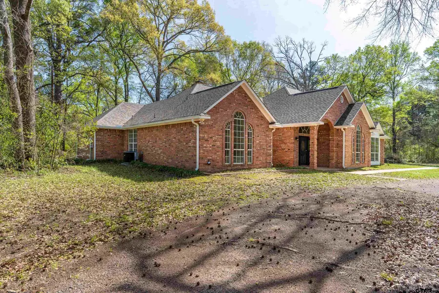 13882 Meadow Ln., Flint, TX 75762 - #3