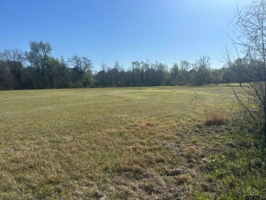 TBD LOT 19 Legacy Park, Pittsburg, TX 75686 - #3