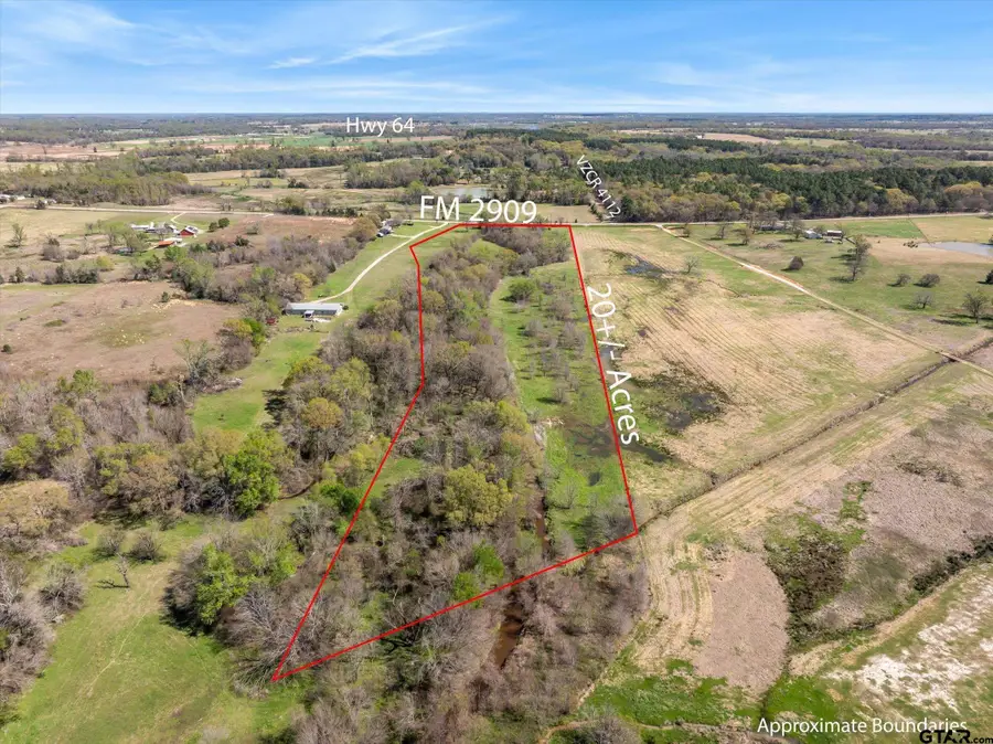 000 Fm 2909, Canton, TX 75103 - #2