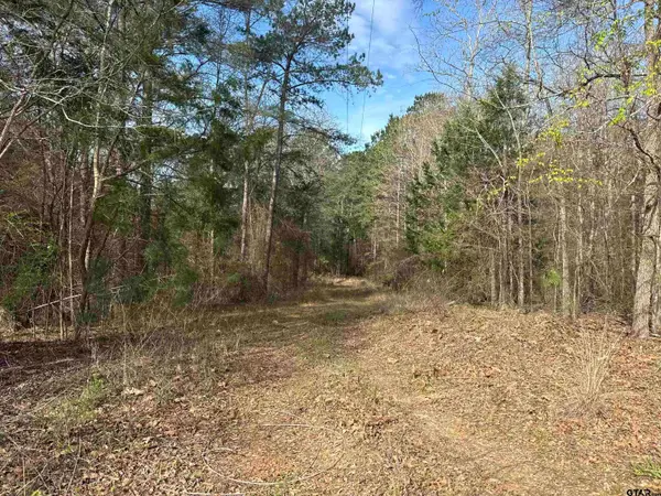 15485 Cr 46, Tyler, TX 75704