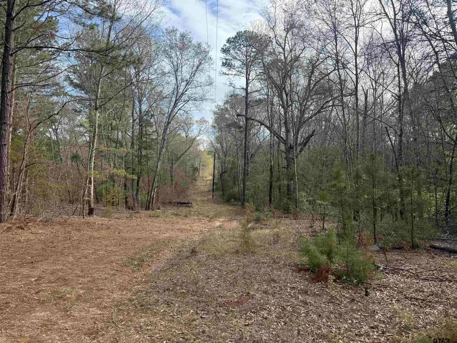 15485 Cr 46, Tyler, TX 75704 - #3