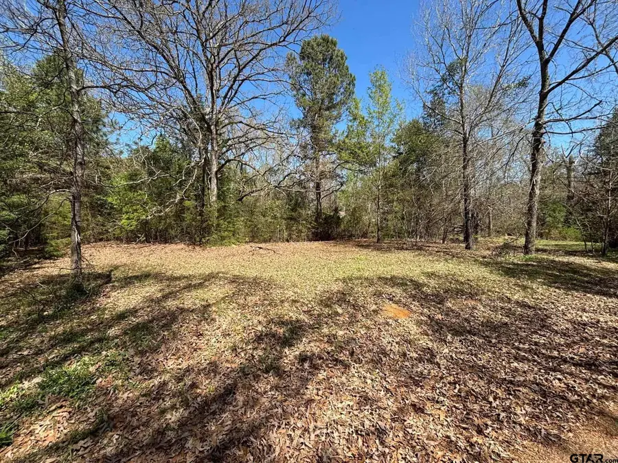 0 CR 317, Tyler, TX 75706 - #2