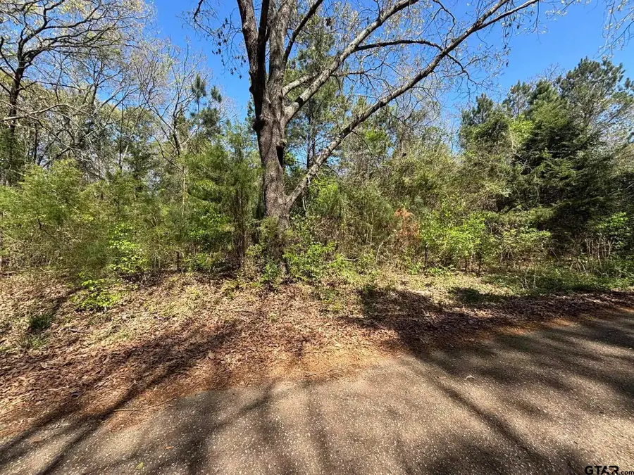 0 CR 317, Tyler, TX 75706 - #3