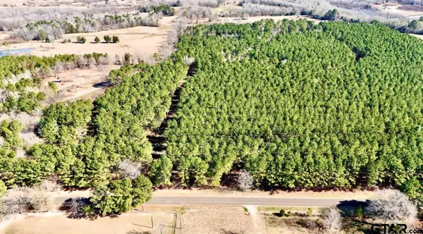 TBD CR 2138, Troup, TX 75789