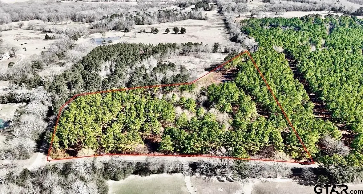 TBD Cr 2138, Troup, TX 75789 - #1