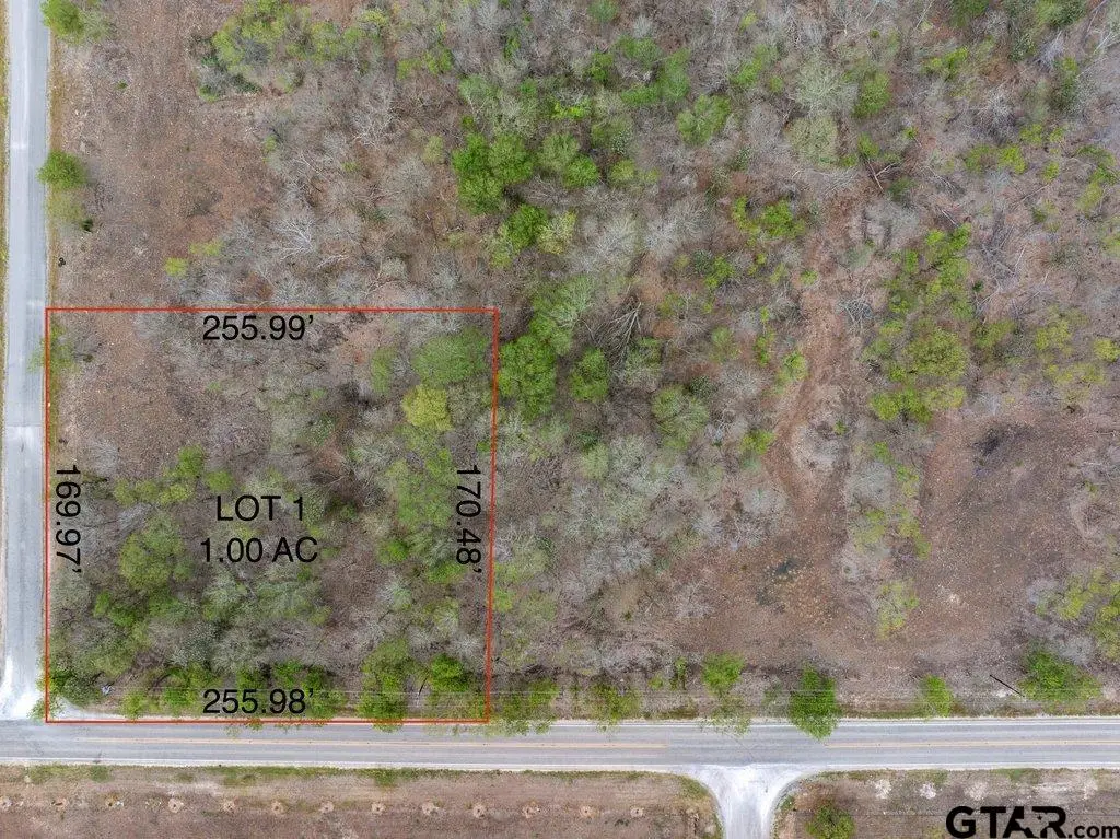Lot 1 Tatum, Martindale, TX 78655 - #1