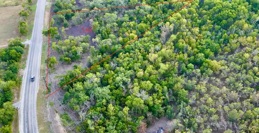 Lot 8 FM 1979, Martindale, TX 78655 - #2