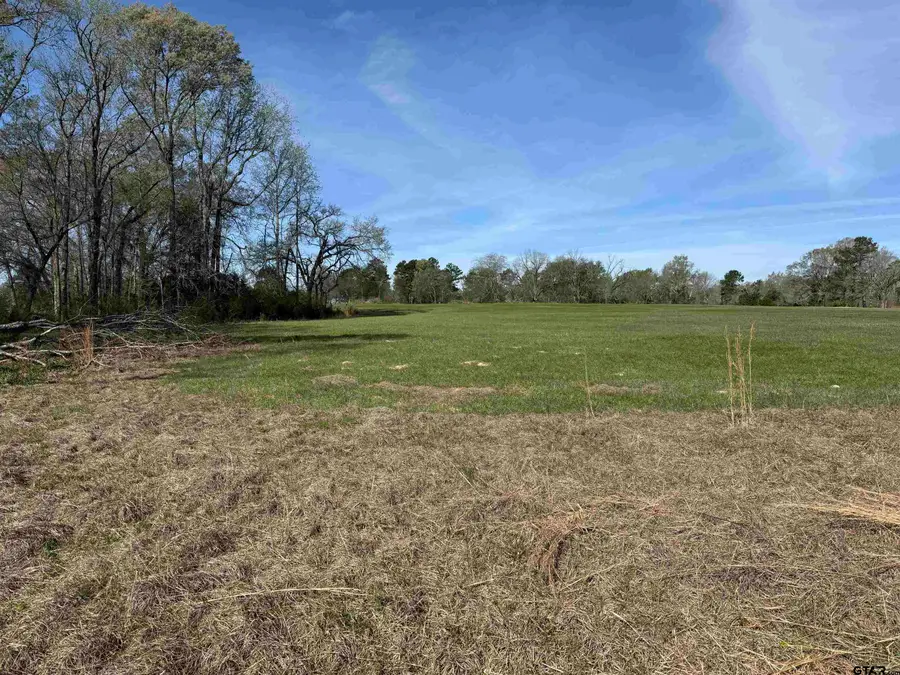 TBD Lot 2 CR 476, Henderson, TX 75654 - #2