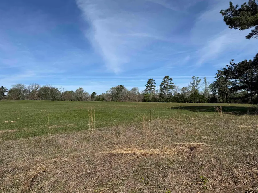 TBD Lot 2 CR 476, Henderson, TX 75654 - #3