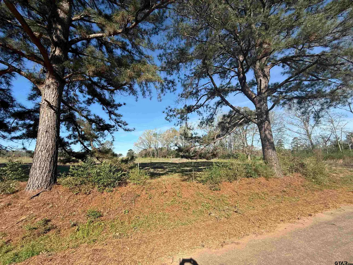 TBD Lot 3 CR 476, Henderson, TX 75654 - #1