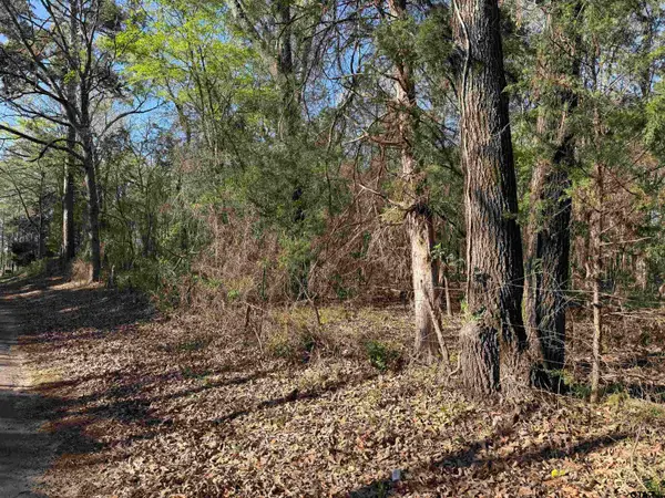 TBD Lot 5 CR 476, Henderson, TX 75654