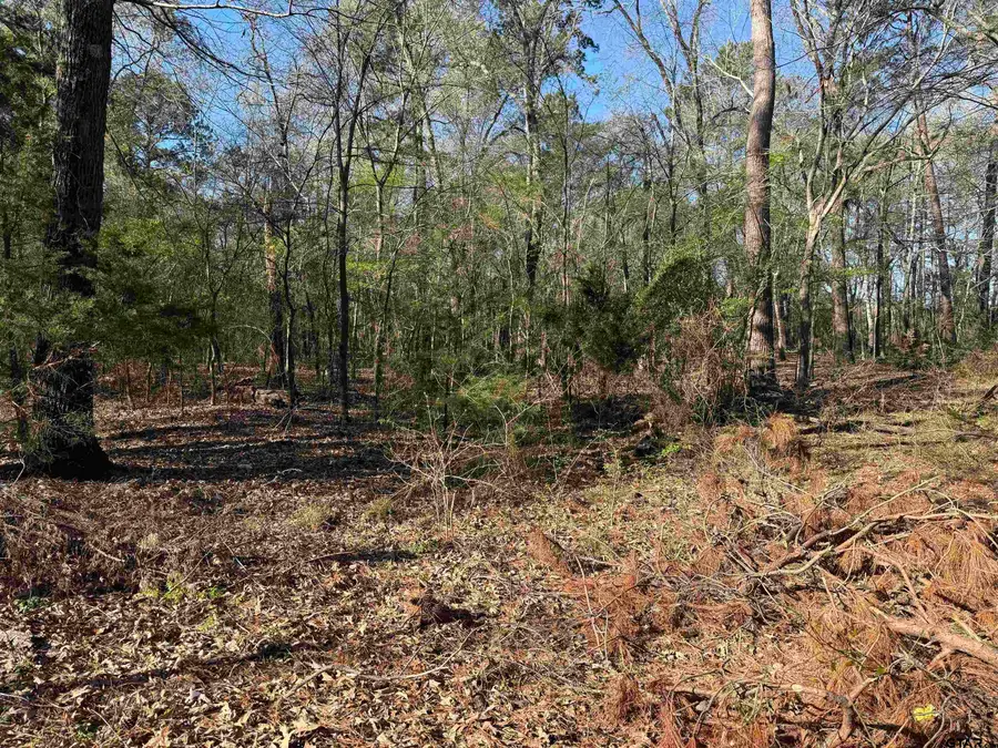 TBD Lot 5 CR 476, Henderson, TX 75654 - #3