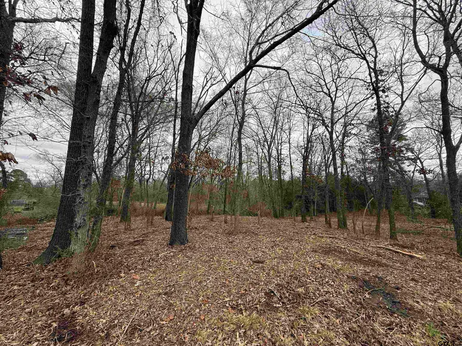 TBD Florence St. Lot 7, Grand Saline, TX 75140 - #2