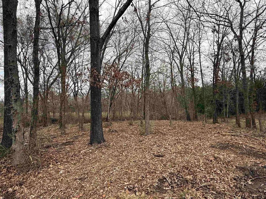 TBD Florence St. Lot 7, Grand Saline, TX 75140 - #3