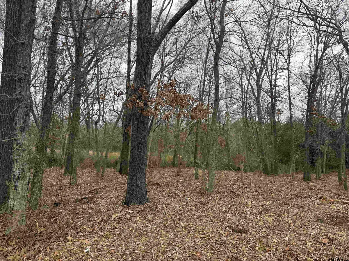 TBD Florence St. Lot 8, Grand Saline, TX 75140 - #1