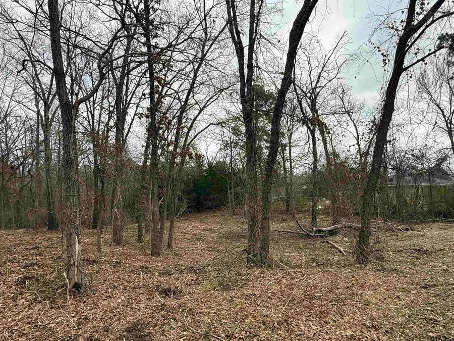 TBD Florence St. Lot 8, Grand Saline, TX 75140 - #2