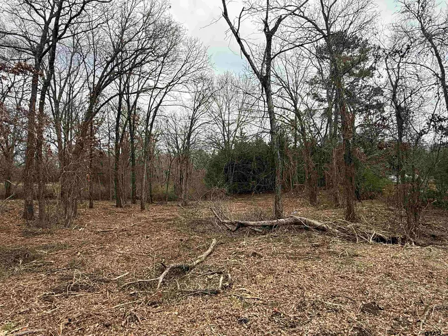 TBD Florence St. Lot 8, Grand Saline, TX 75140 - #3