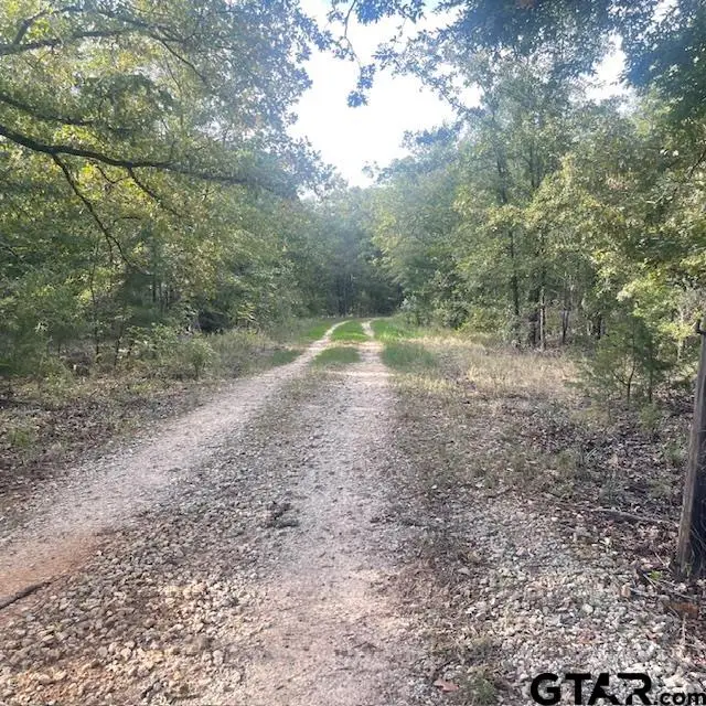 205 County Road 2880, Mineola, TX 75773 - #2