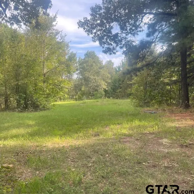 205 County Road 2880, Mineola, TX 75773 - #3