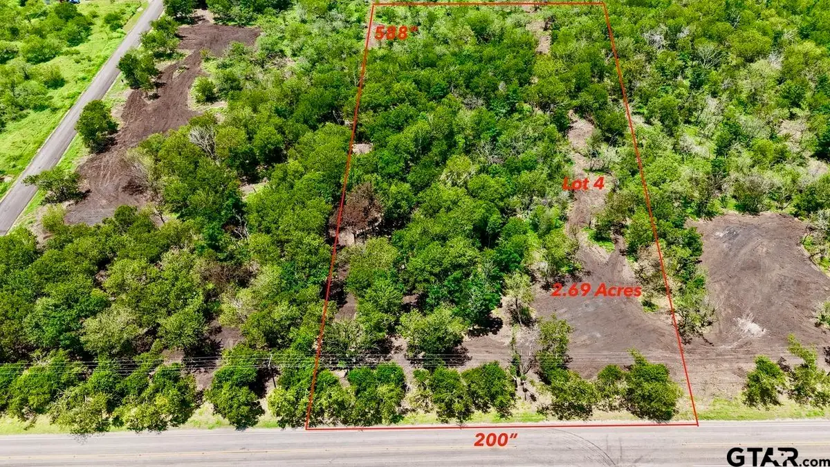 Lot 4 FM 1979, Martindale, TX 78655 - #1