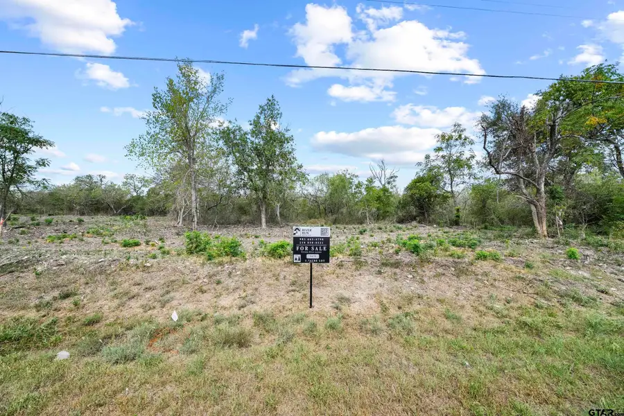 Lot 4 FM 1979, Martindale, TX 78655 - #3