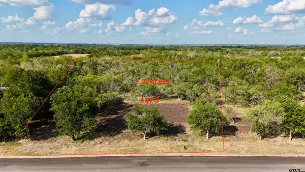Lot 3 Tatam, Martindale, TX 78655