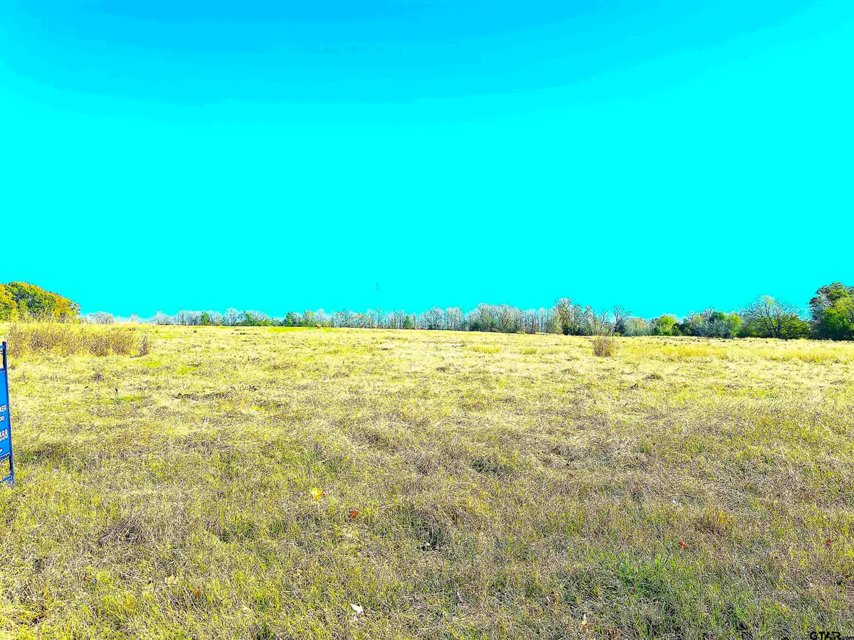 1176 W FM 515, Winnsboro, TX 75494 - #1