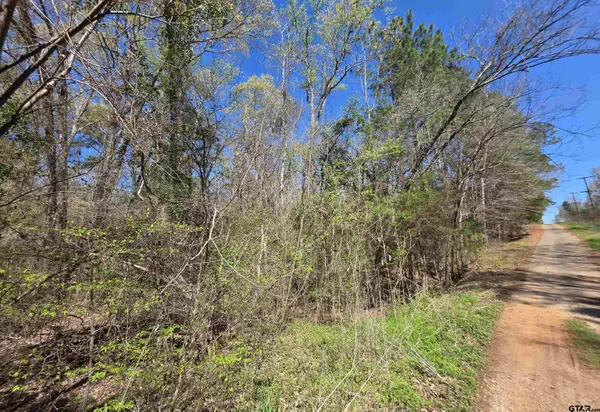 995 Balmorea Dr, Bullard, TX 75757