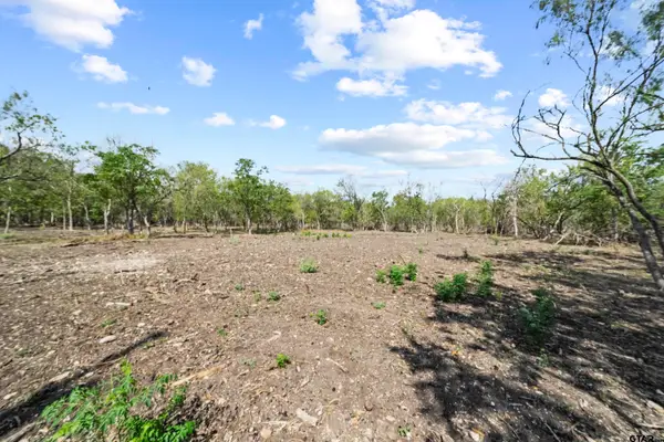 Lot 5 FM 1979, Martindale, TX 78655
