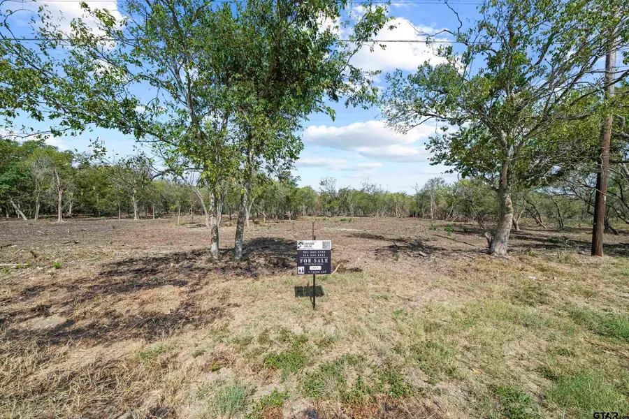 Lot 5 FM 1979, Martindale, TX 78655 - #2