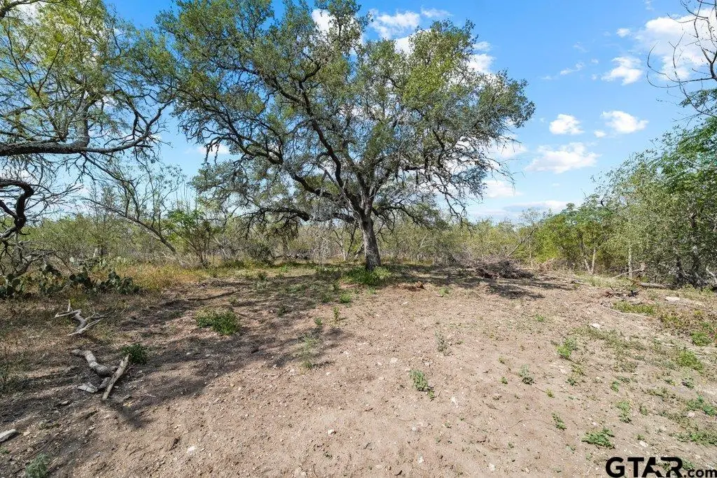 Lot 7 FM 1979, Martindale, TX 78655 - #1