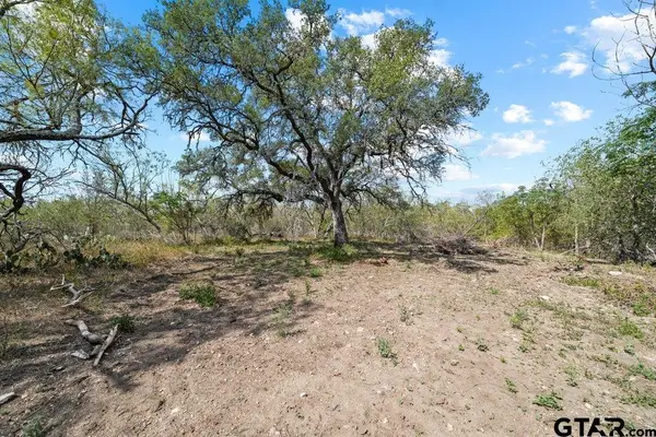 Lot 7 FM 1979, Martindale, TX 78655
