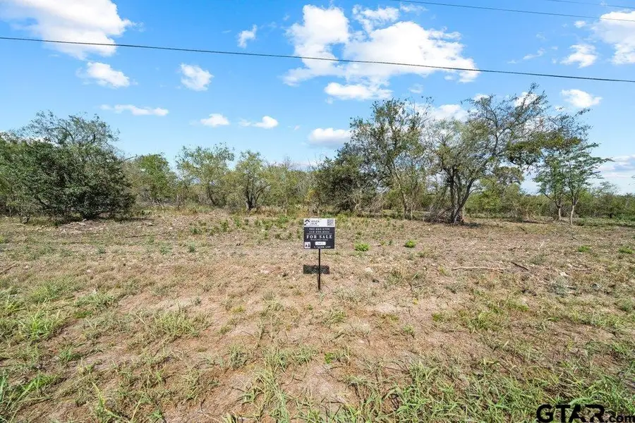 Lot 7 FM 1979, Martindale, TX 78655 - #2
