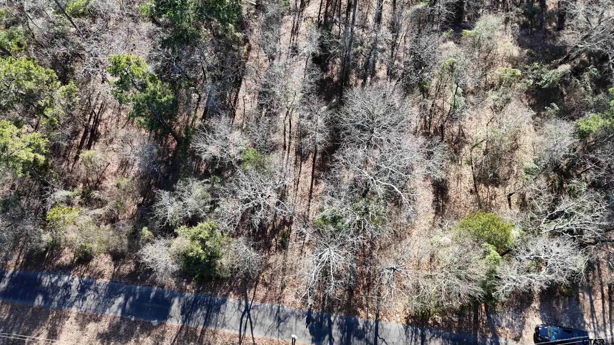TBD King Harry Ct., Scroggins, TX 75480 - #1
