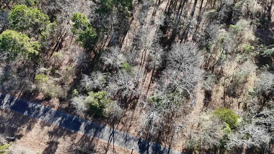 TBD King Harry Ct., Scroggins, TX 75480 - #2