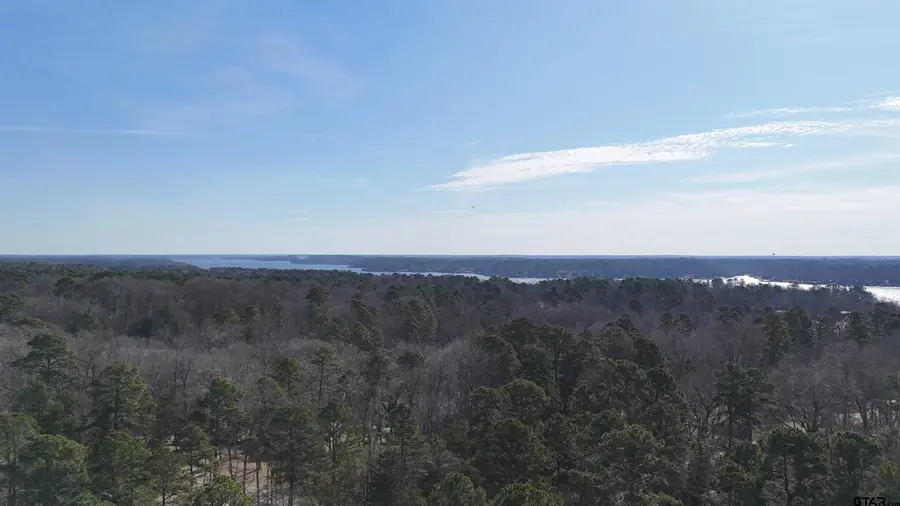 TBD King Harry Ct., Scroggins, TX 75480 - #3