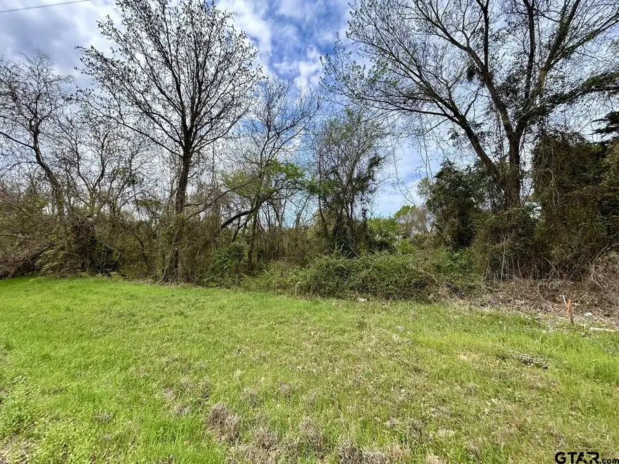 TBF Lot 5 FM 1519, Leesburg, TX 75451 - #3