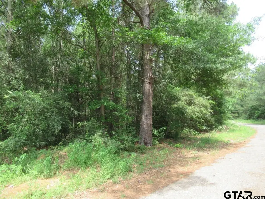 3.54 AC CR 352, Palestine, TX 75803 - #2