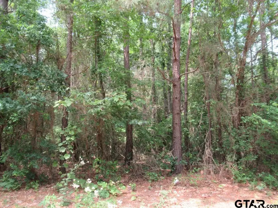 3.54 AC CR 352, Palestine, TX 75803 - #3