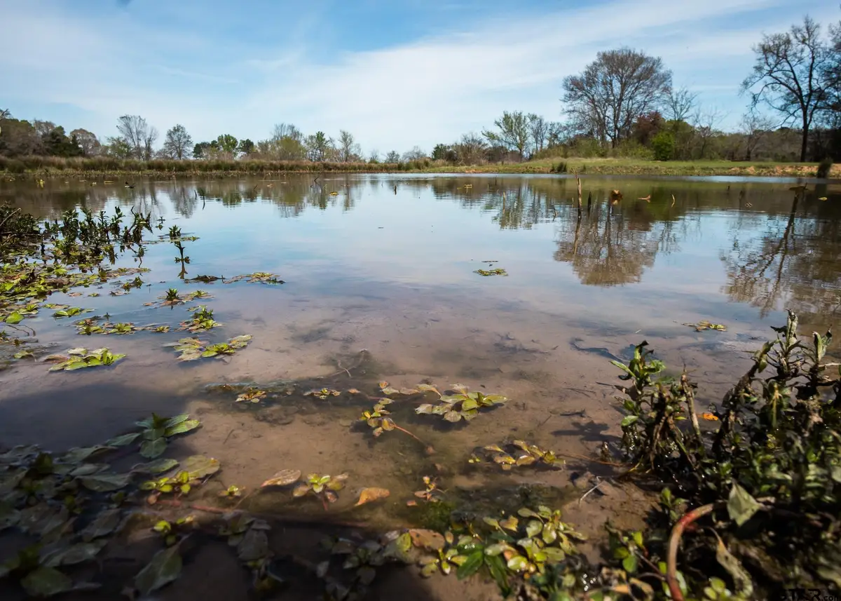 000 County Road 334, Palestine, TX 75803 - #1