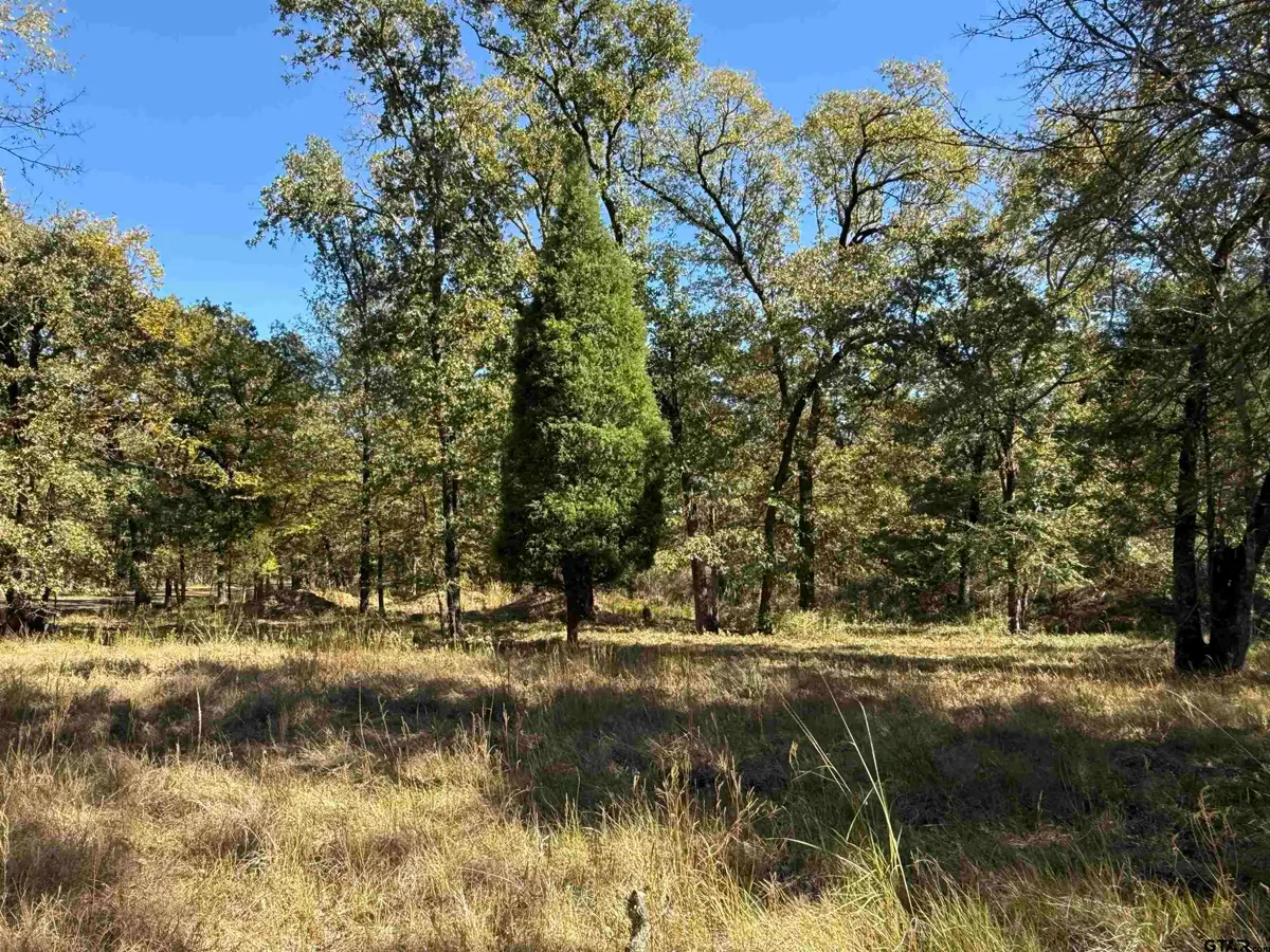 15801 Maple Ln, Malakoff, TX 75148 - #1