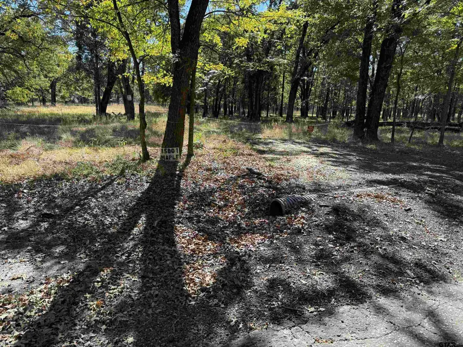 15801 Maple Ln, Malakoff, TX 75148 - #2