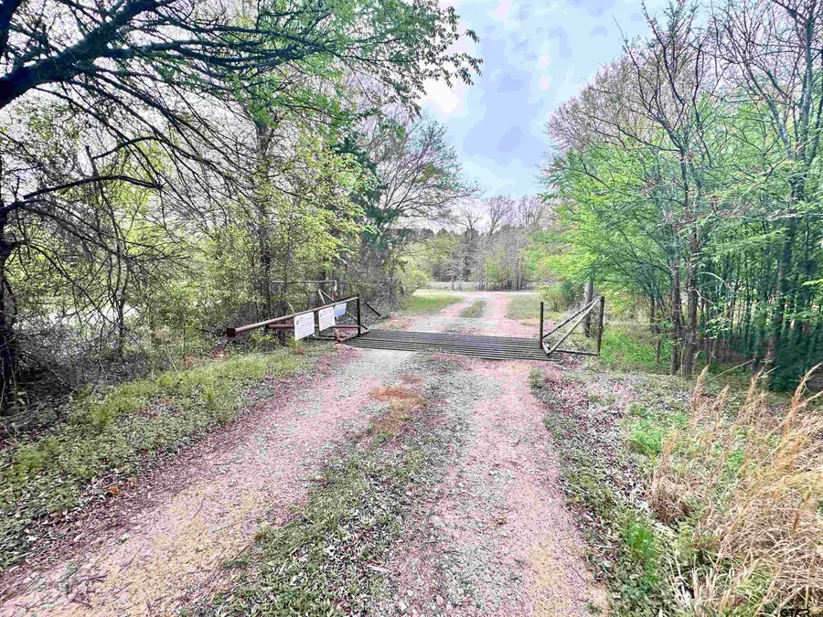 0 CR 3508, Murchison, TX 75778 - #2