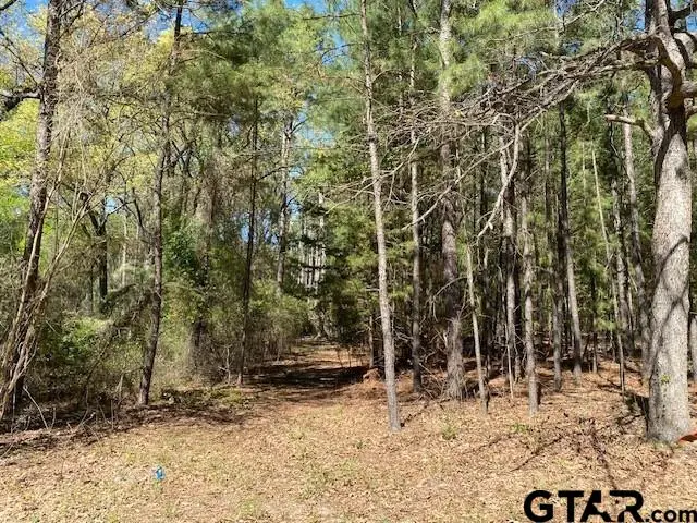 TBD Armadillo Drive, Callender Lake, TX 75778 - #1